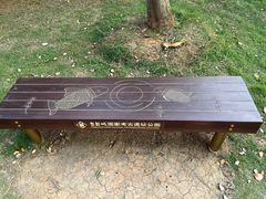 -盘龙城国家考古遗址公园