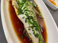 -月湖翠·上海菜(思南公馆淮海店)