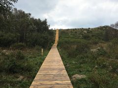 -白草畔自然风景区