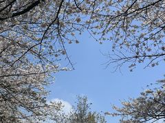 -杭州少年儿童公园