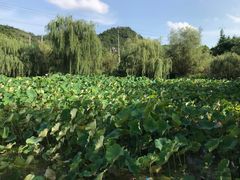 -贵阳蓬莱仙界