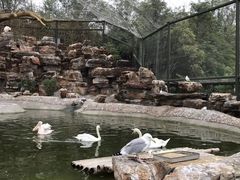 -石家庄市动物园