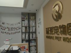 -瑞派康怡24h宠物医院·犬猫医疗中心·微创绝育(瑞景分院)