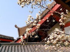 -南翔古镇