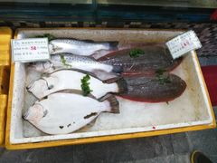 -海岛渔村大酒店(云霄路店)