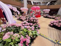 -上海长风大悦城