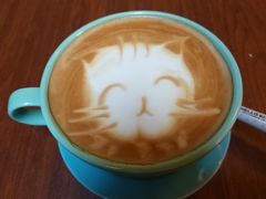 -猫色咖啡·猫咖