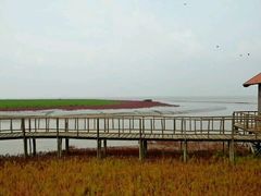 -红海滩国家风景廊道