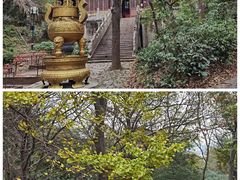 -雨花胜境