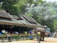 -野象谷景区