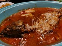 -阿五黄河大鲤鱼(海尚店)