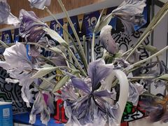 -IBOBI早教·托班·国际家庭互动成长中心(欢乐海岸中心)