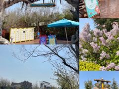 -郑州方特梦幻王国