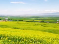 -扁都口生态休闲旅游区
