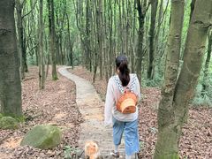 -广州神农草堂中医药博物馆