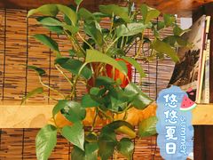 -有才叔的小馆(高新咖啡街区店)