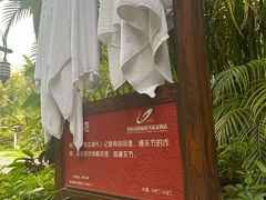 -碧桂园润杨溪谷温泉酒店
