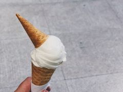 话梅Gelato-歎雪糕低糖低脂Gelato冰淇淋