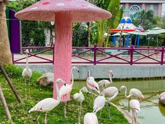 -灵玲国际马戏城