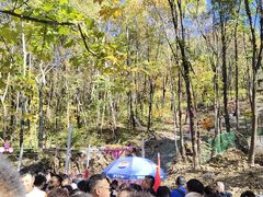 -帽儿山风景区