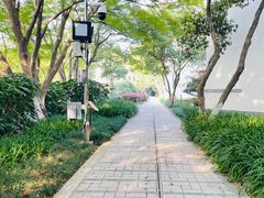 -上海市保健医疗中心