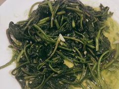炒青菜-茶油香闽南菜·花园餐厅(前埔店)