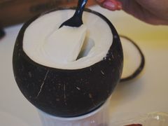 -志龙皇冠吃货椰子铺