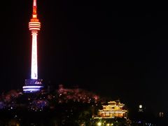 -武汉两江游览·夜游长江(汉口粤汉码头)