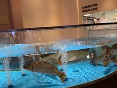 -阿庄新豫菜(航海东路店)