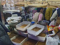 -花鸟鱼虫鲜花绿植市场(玉泉路店)