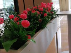 -布吉佳兆业广场