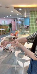 -Moni星球萌宠·小马宝莉·灵蛇·高端高阶全萌宠互动体验俱乐部(红豆国际广场店)