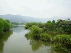 -长兴太湖图影湿地文化园