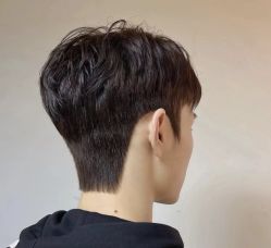 -风生造型