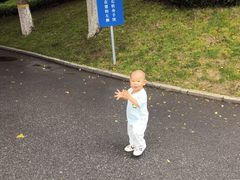 -静之湖湖畔餐厅