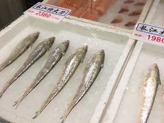 -莆鑫海鲜城(浏河店)