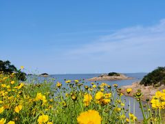 -宁波松兰山滨海旅游度假区