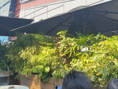 -gaga(深圳南山益田假日广场店)
