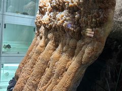 -本溪水洞