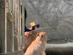 -成都欢乐谷