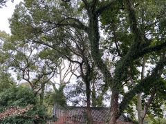 -墨池公园