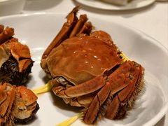 -食廬(浦东嘉里城店)