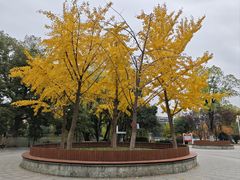-宝岛公园