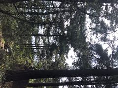 -九华山风景区-东崖禅寺