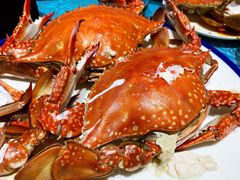 -北塘海鲜·天津菜(大光明桥旗舰店)