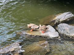 -上海怡沁园度假酒店
