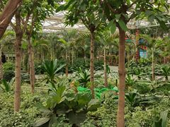 -南宫五洲植物乐园