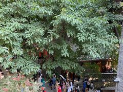 -重庆十八梯传统风貌区