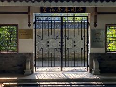-金花茶公园
