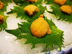 海胆刺身-王鼎精致料理铁板烧(世博源店)